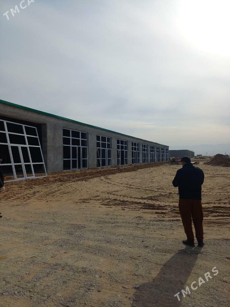 ️ Türetiski Arginal Alÿumin️ - Çoganly - img 6