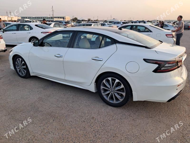 Nissan Maxima 2023 - 300 000 TMT - Mary - img 2