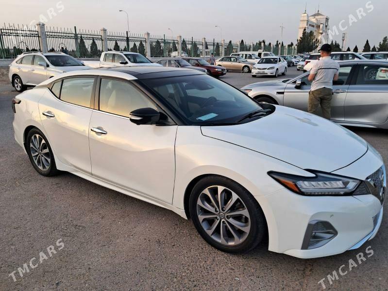 Nissan Maxima 2023 - 300 000 TMT - Mary - img 1