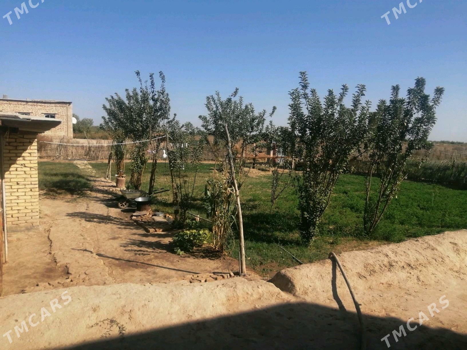 Emlak - Байрамали - img 1