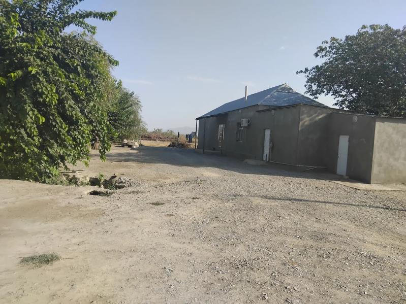 Satlyk jay - Gökdepe - img 2