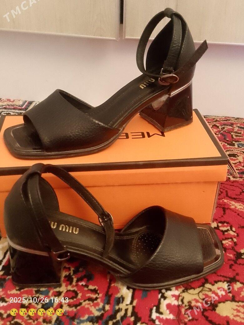 Basanojka - Daşoguz - img 2