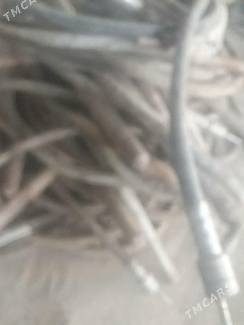 biton...wobratir..çvwesi - Gökje - img 1