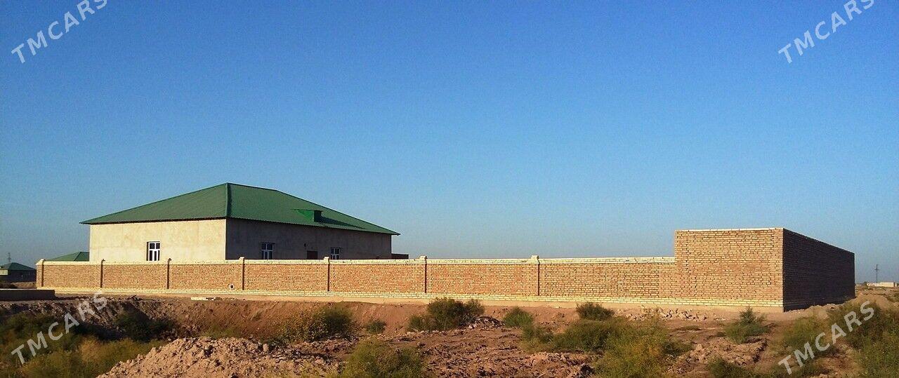 ЖАЙ - Daşoguz - img 1