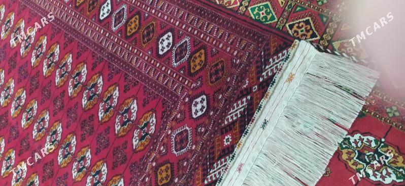 Turkmen haly - Bäherden - img 1