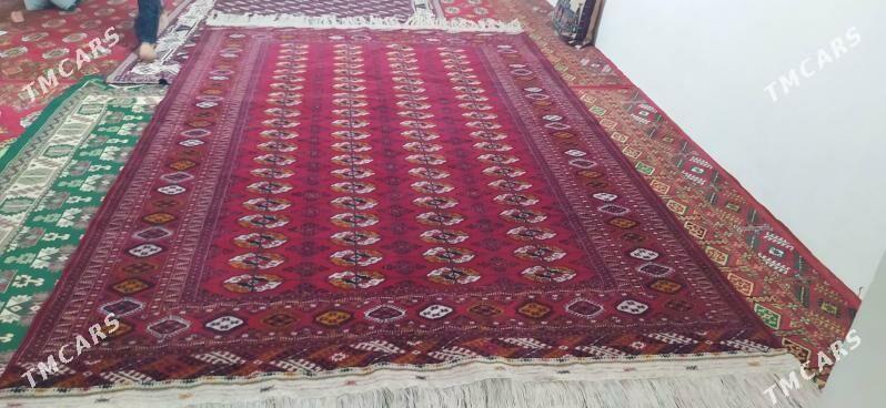 Turkmen haly - Bäherden - img 2