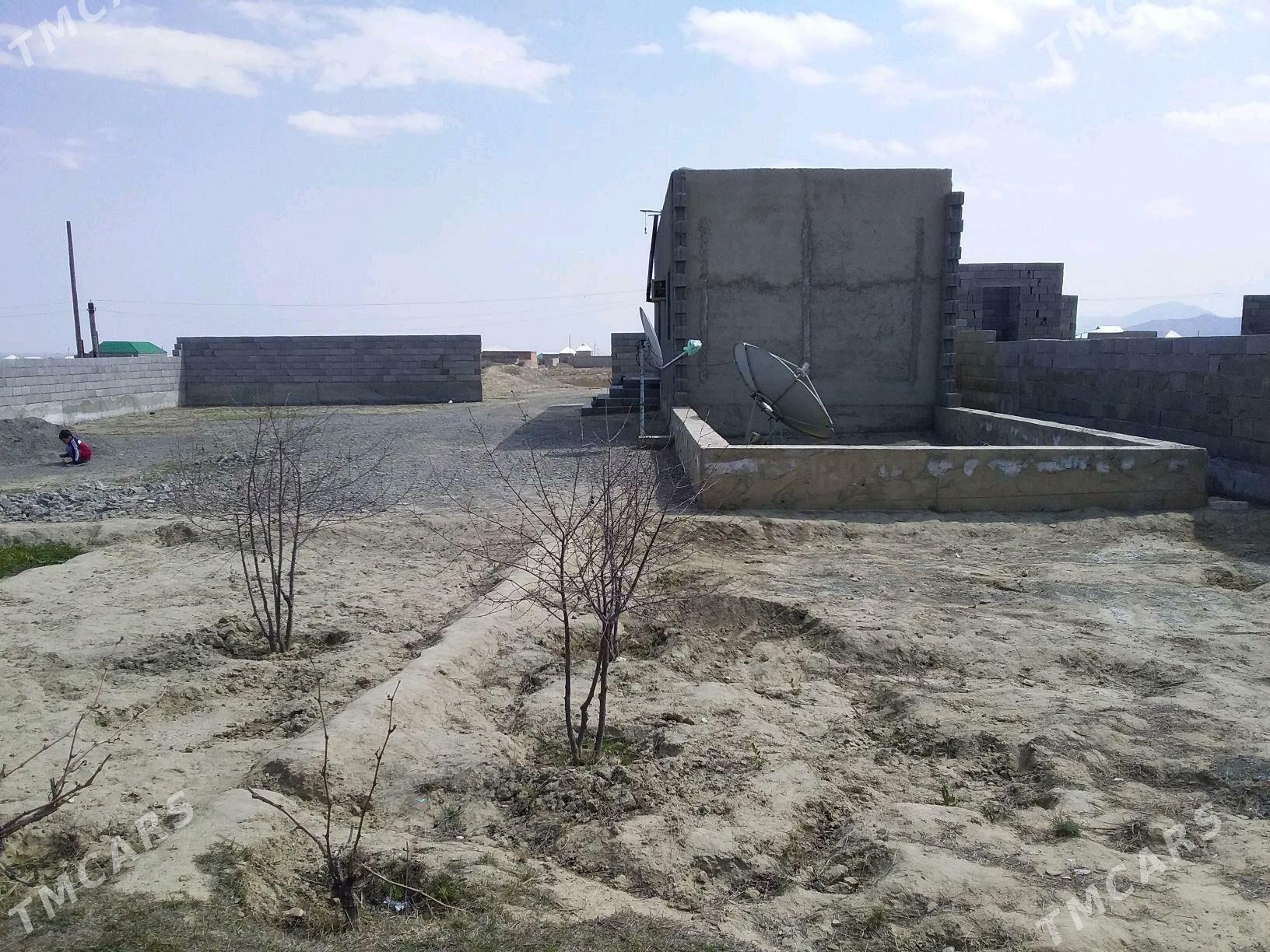 Baherden jay - Бахарден - img 5