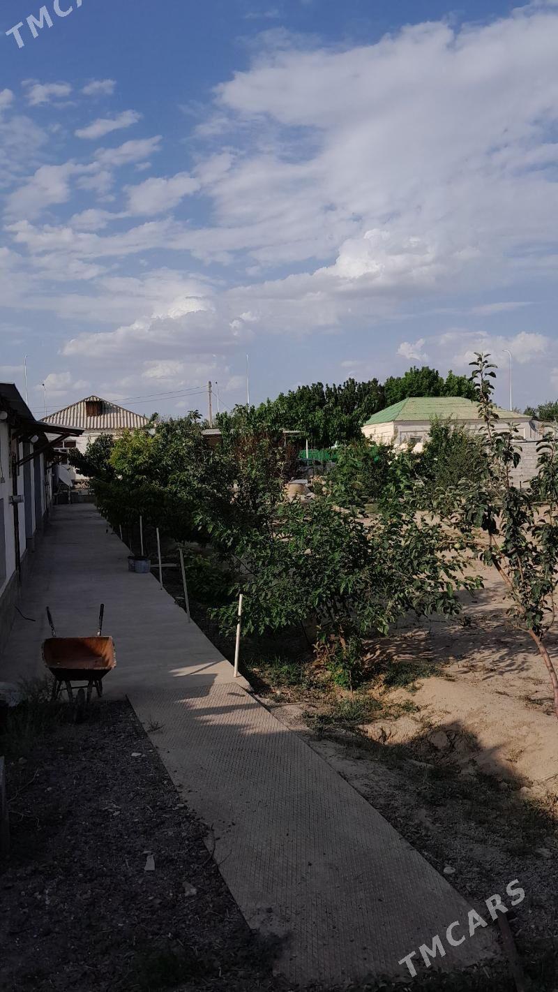 Herrikgala ilerki - Aşgabat - img 4