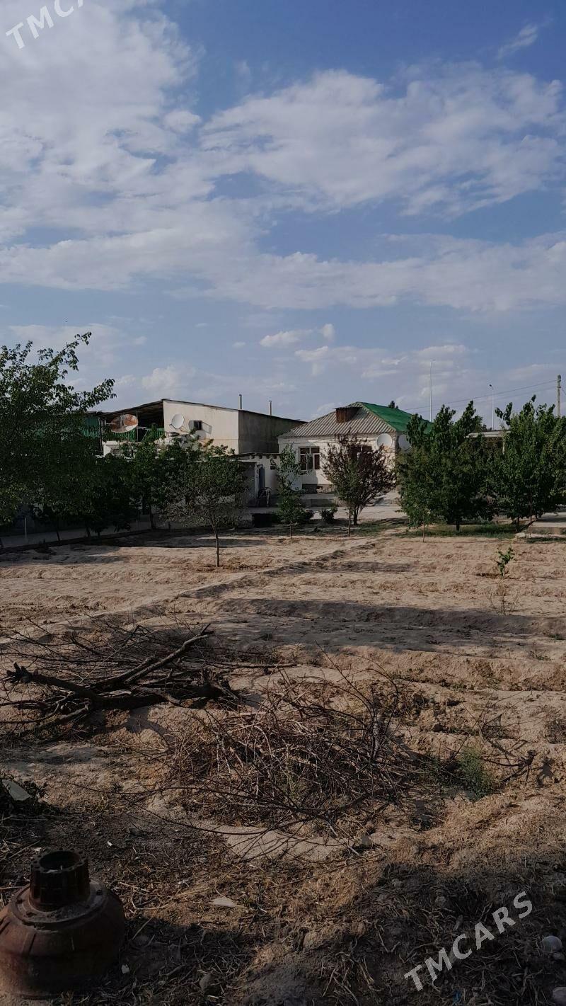 Herrikgala ilerki - Aşgabat - img 3