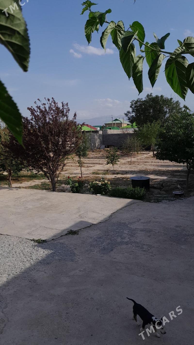 Herrikgala ilerki - Aşgabat - img 5