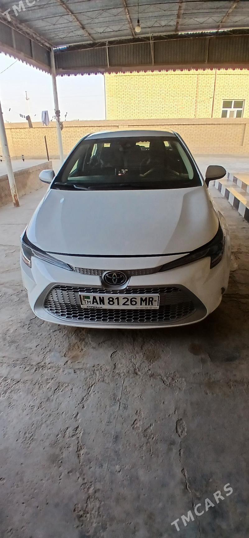 Toyota Corolla 2020 - 250 000 TMT - Mary - img 8