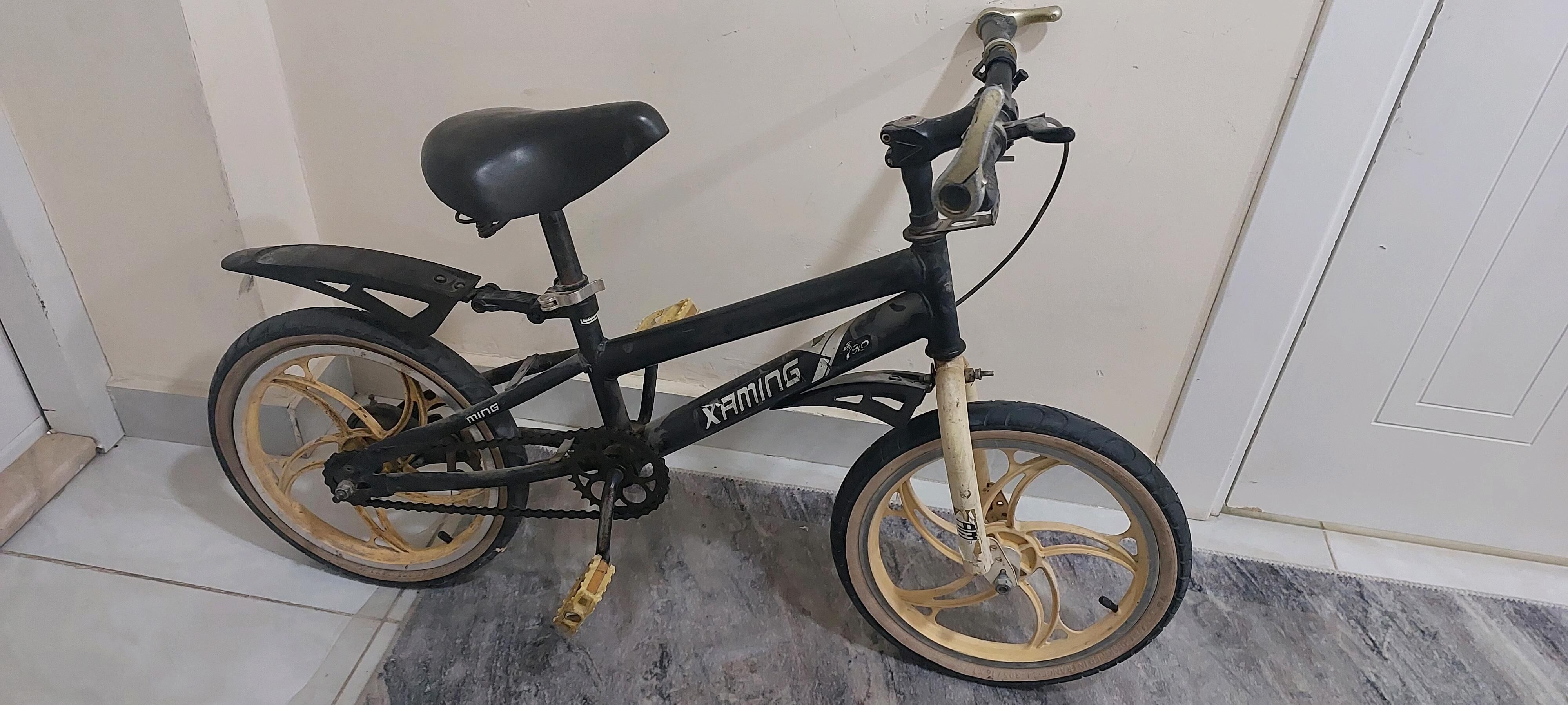 tigir - Gurtly - img 2