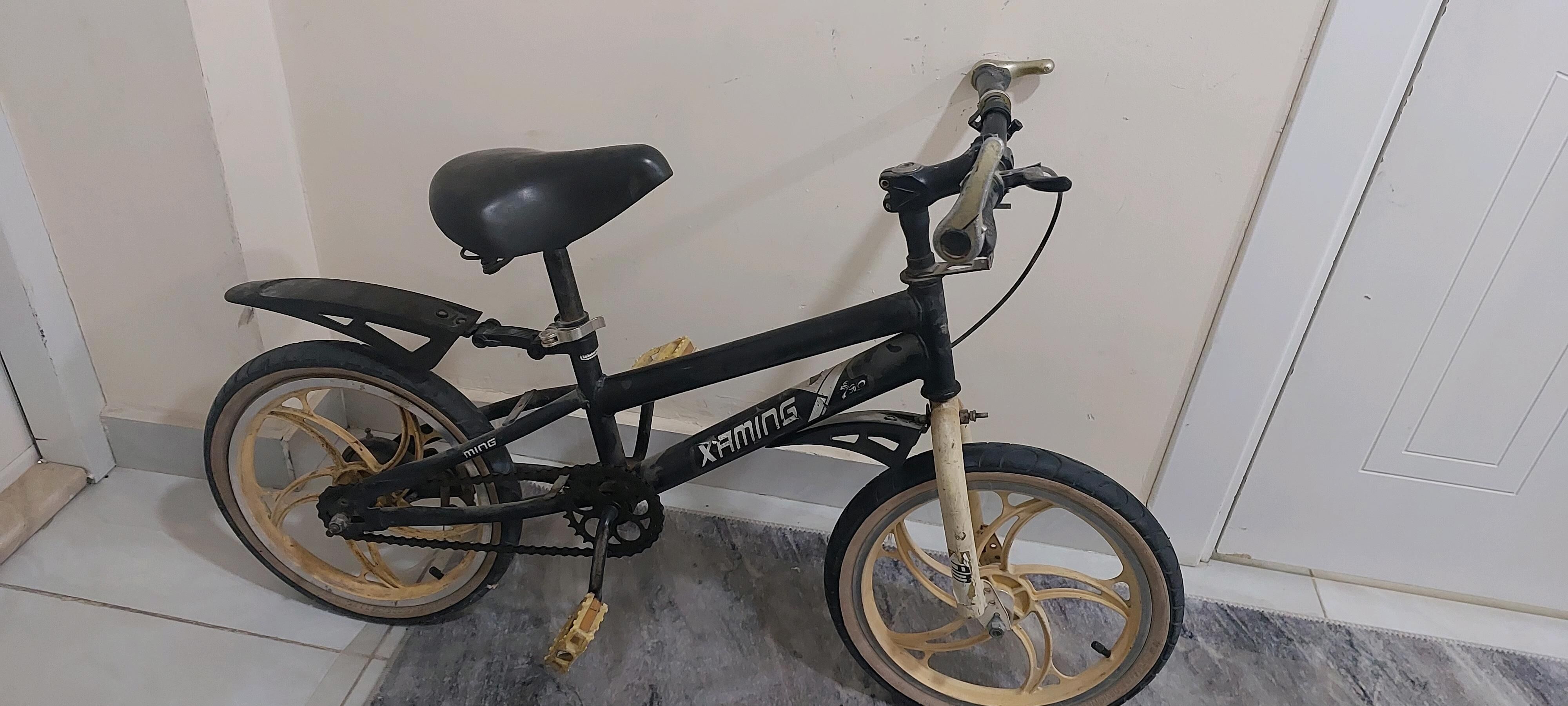 tigir - Gurtly - img 3