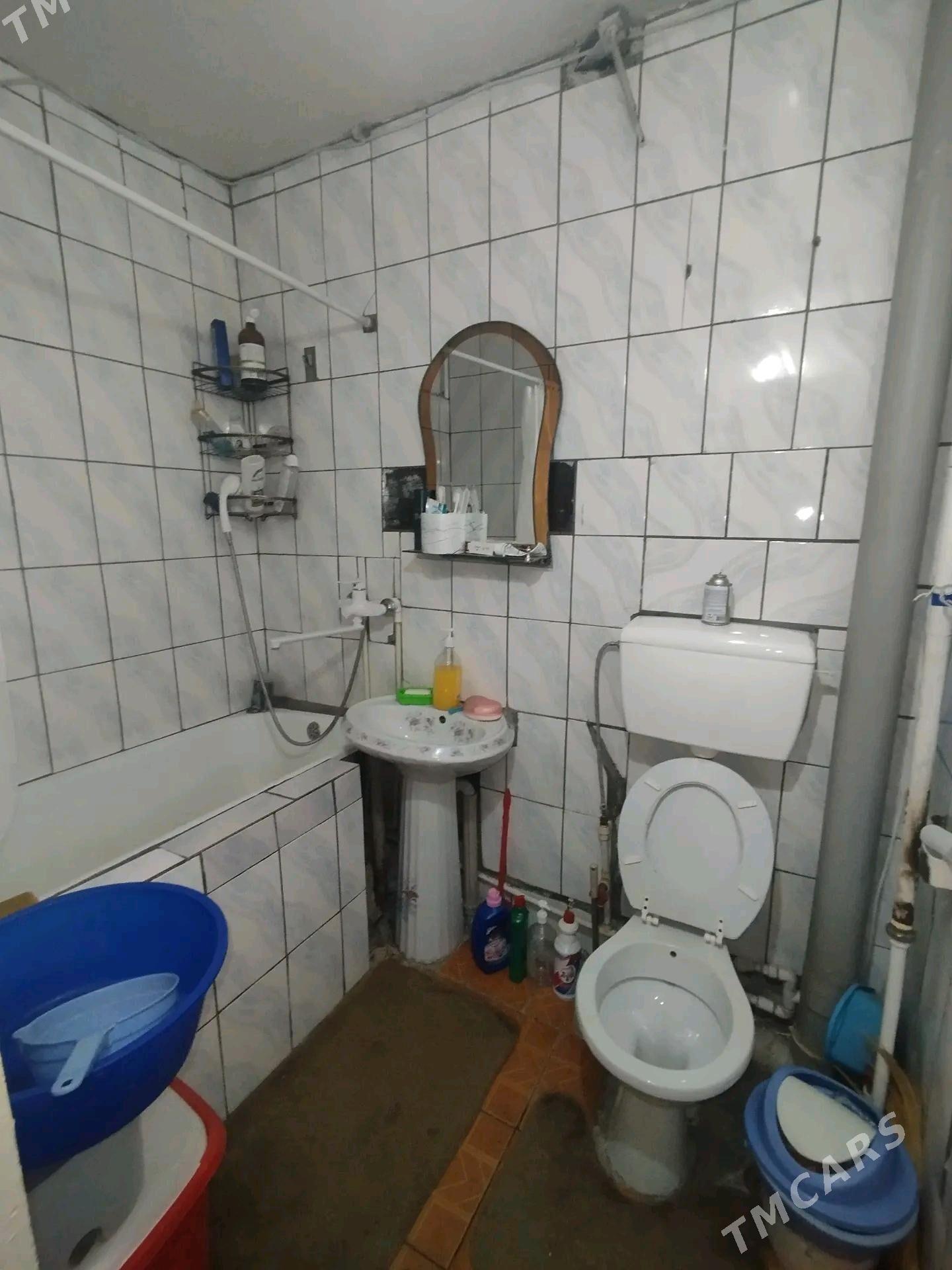 Satlyk jay - Мары - img 7