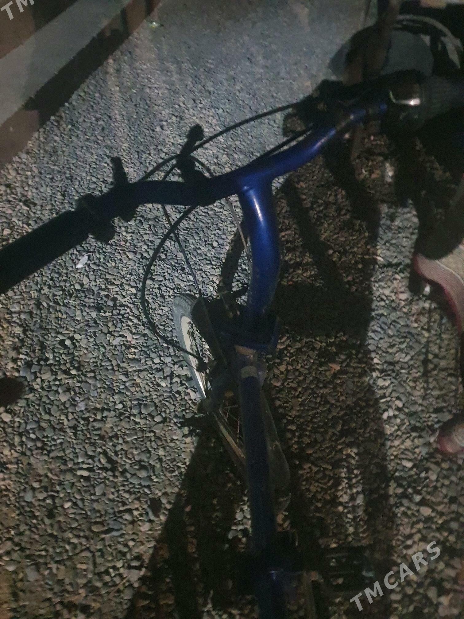 kama - Sakarçäge - img 1