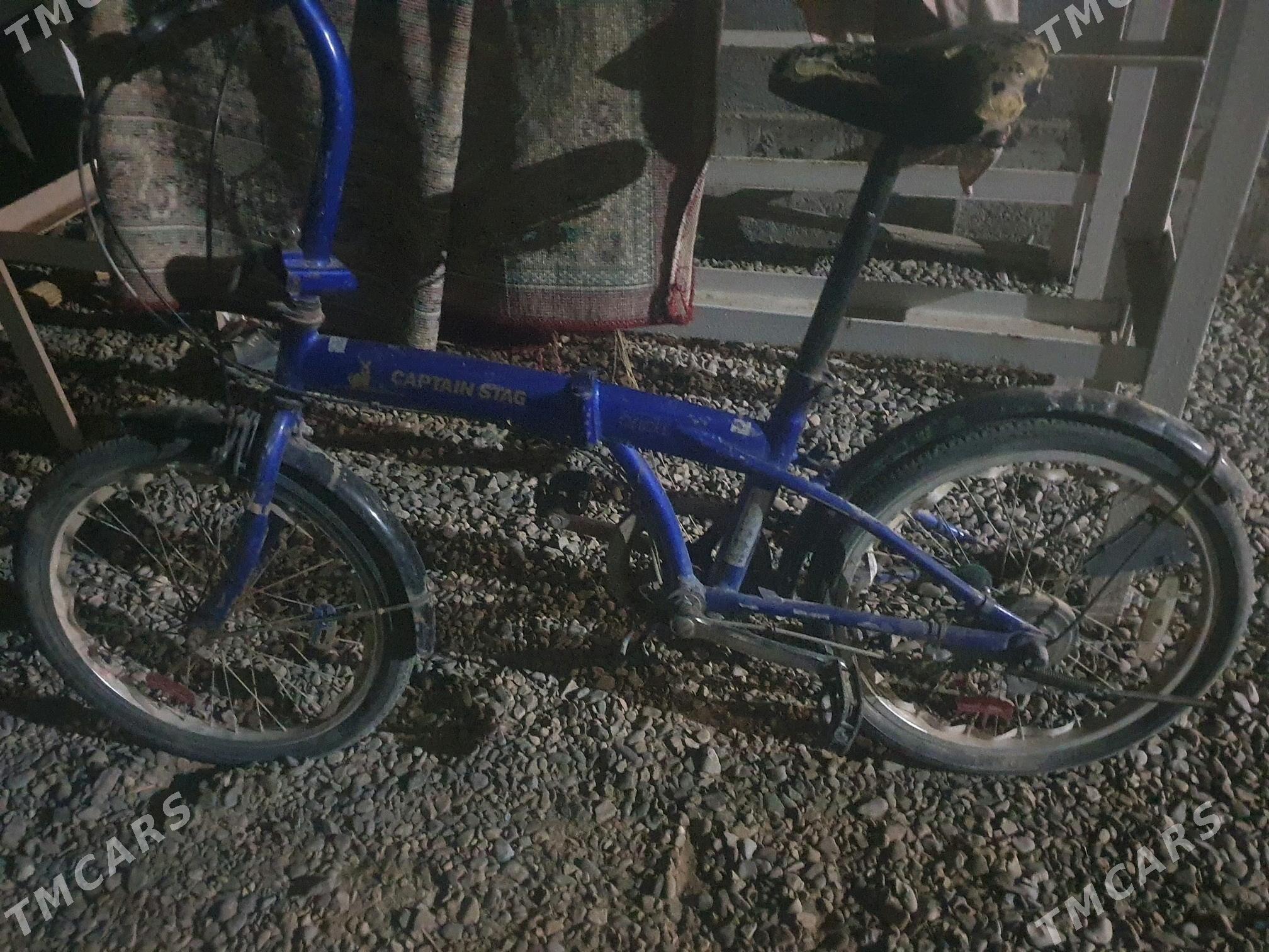 kama - Sakarçäge - img 3