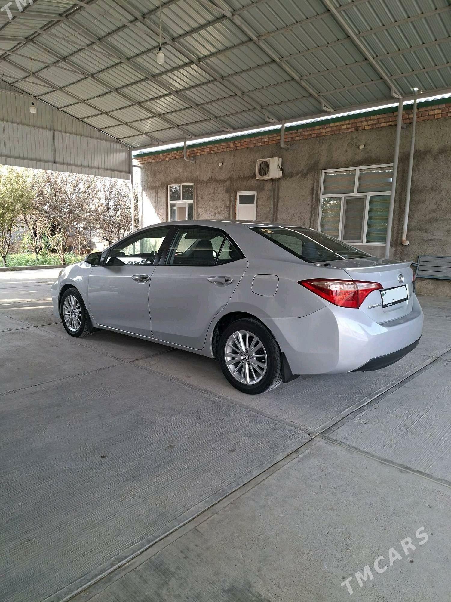 Toyota Corolla 2019 - 189 000 TMT - Gökdepe - img 1