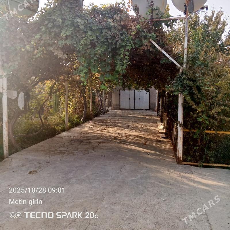 arenda jay - Kaka - img 2