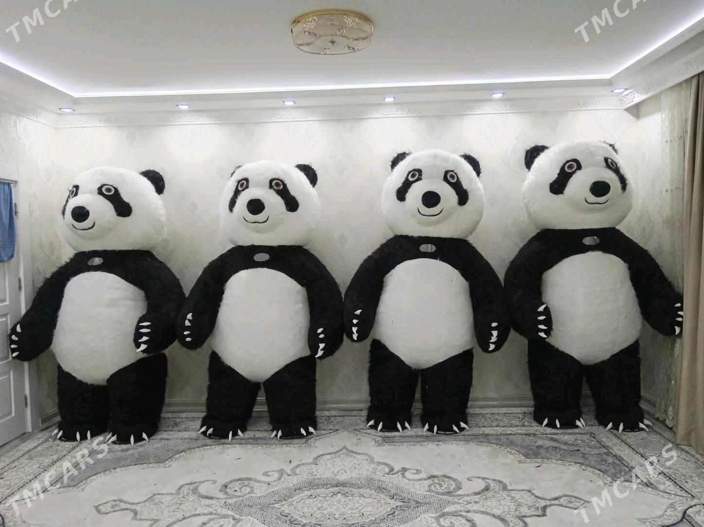 Miska panda ayy - Büzmeýin - img 1