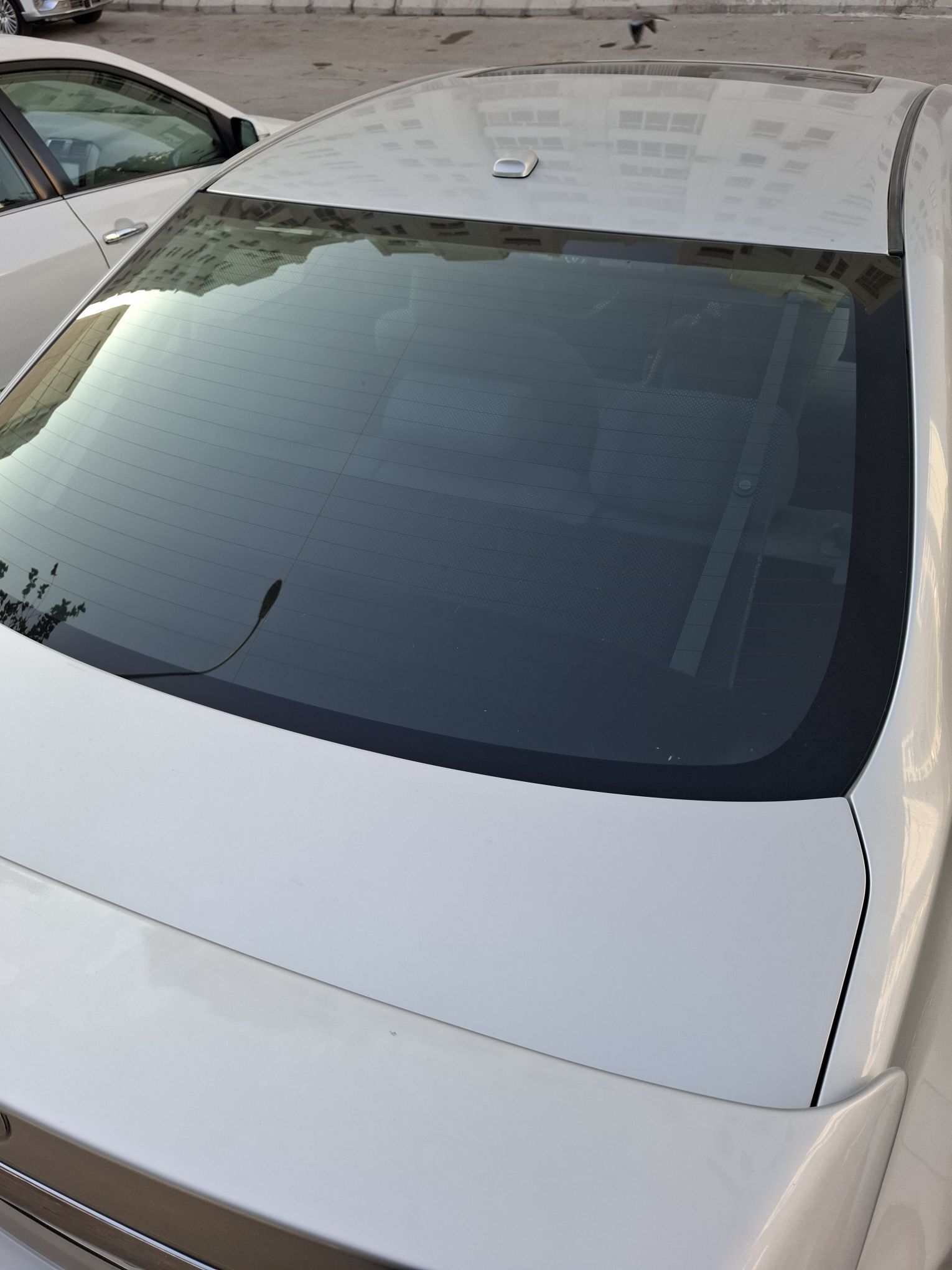 tokly setka 2 200 TMT - Ашхабад - img 1