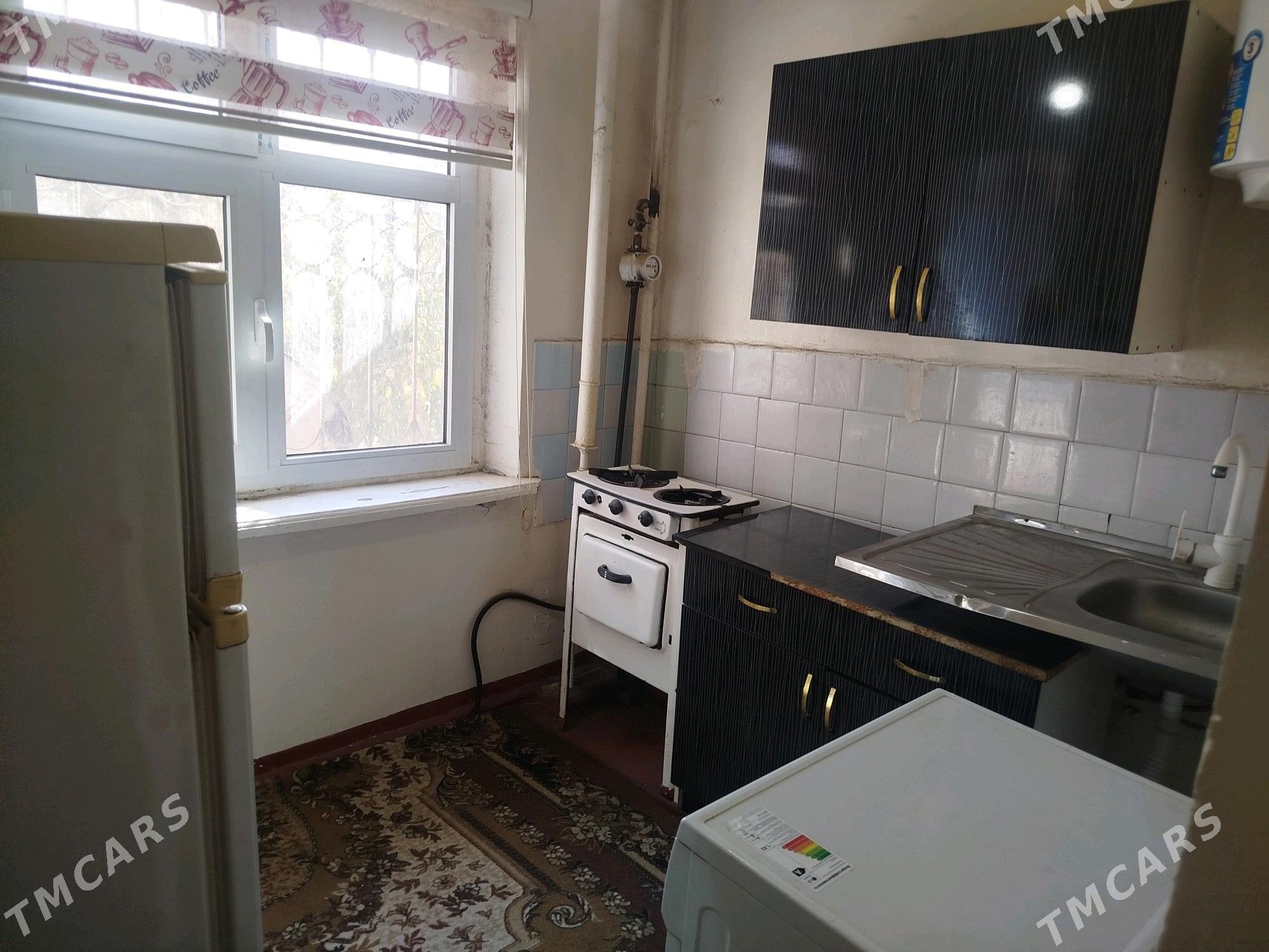 Satlyk jay - Mary - img 2