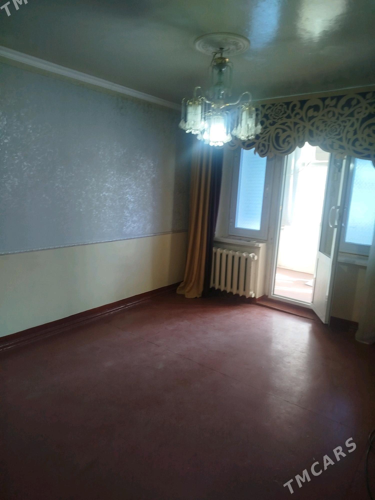 Satlyk jay - Mary - img 3