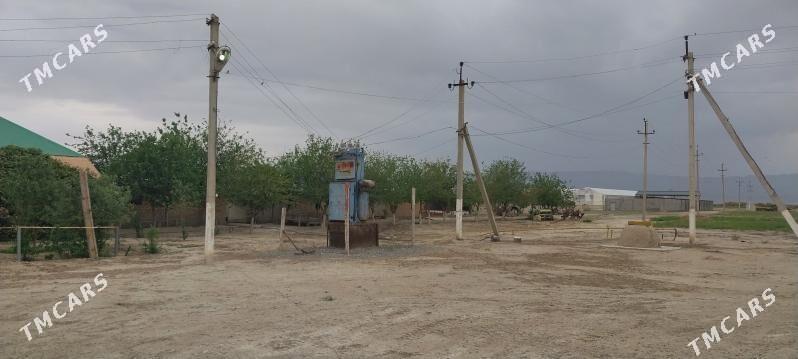 jay - Ýaşlyk - img 1