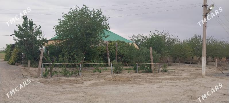 jay - Ýaşlyk - img 2