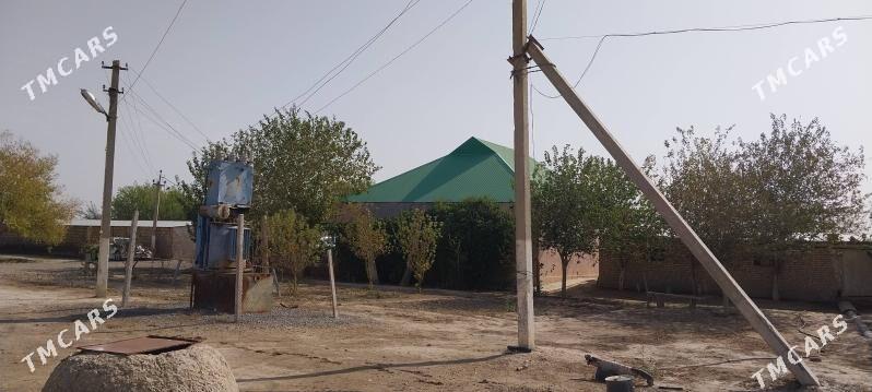 jay - Ýaşlyk - img 7