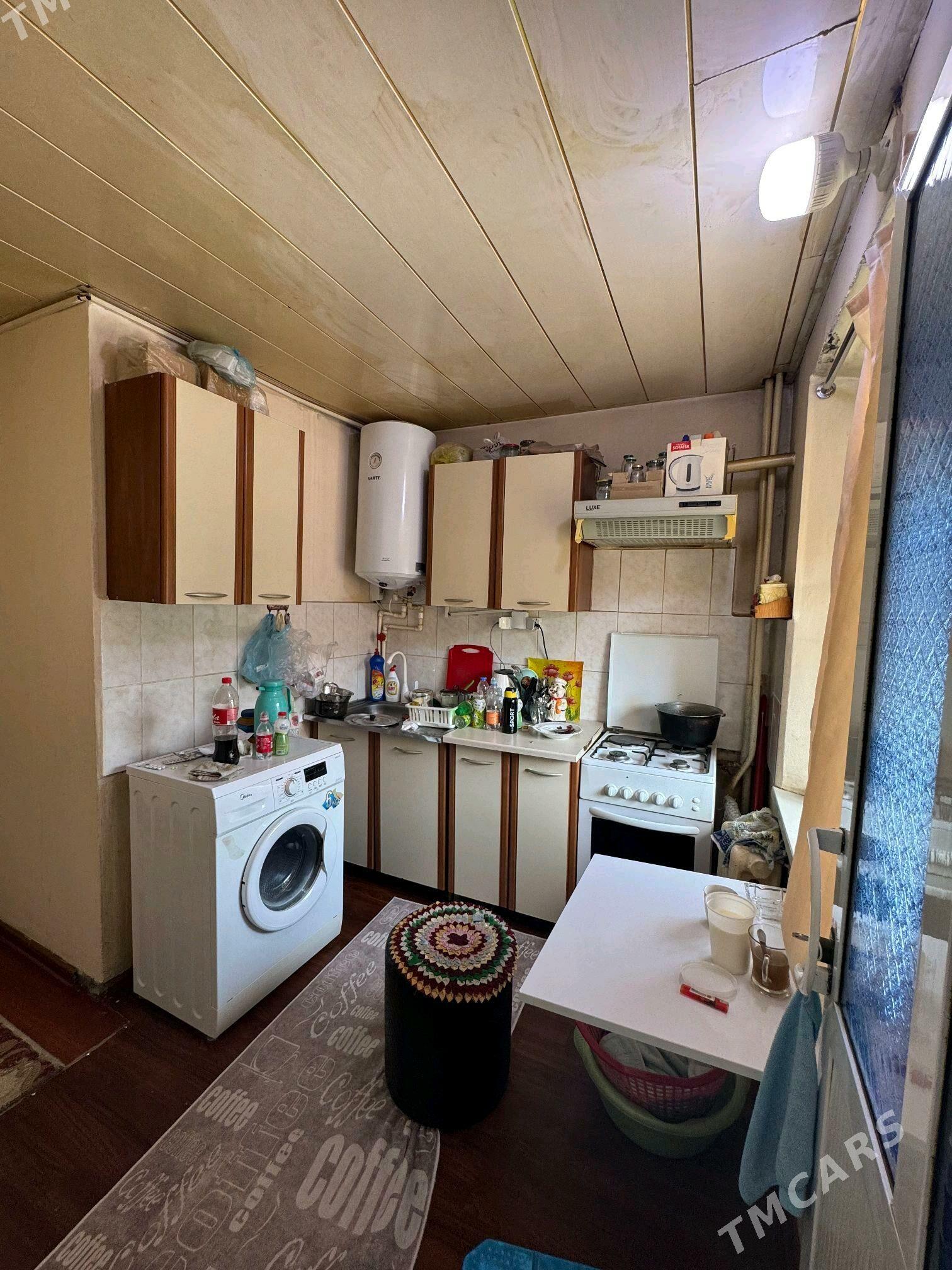 satlyk jay - Mary - img 5