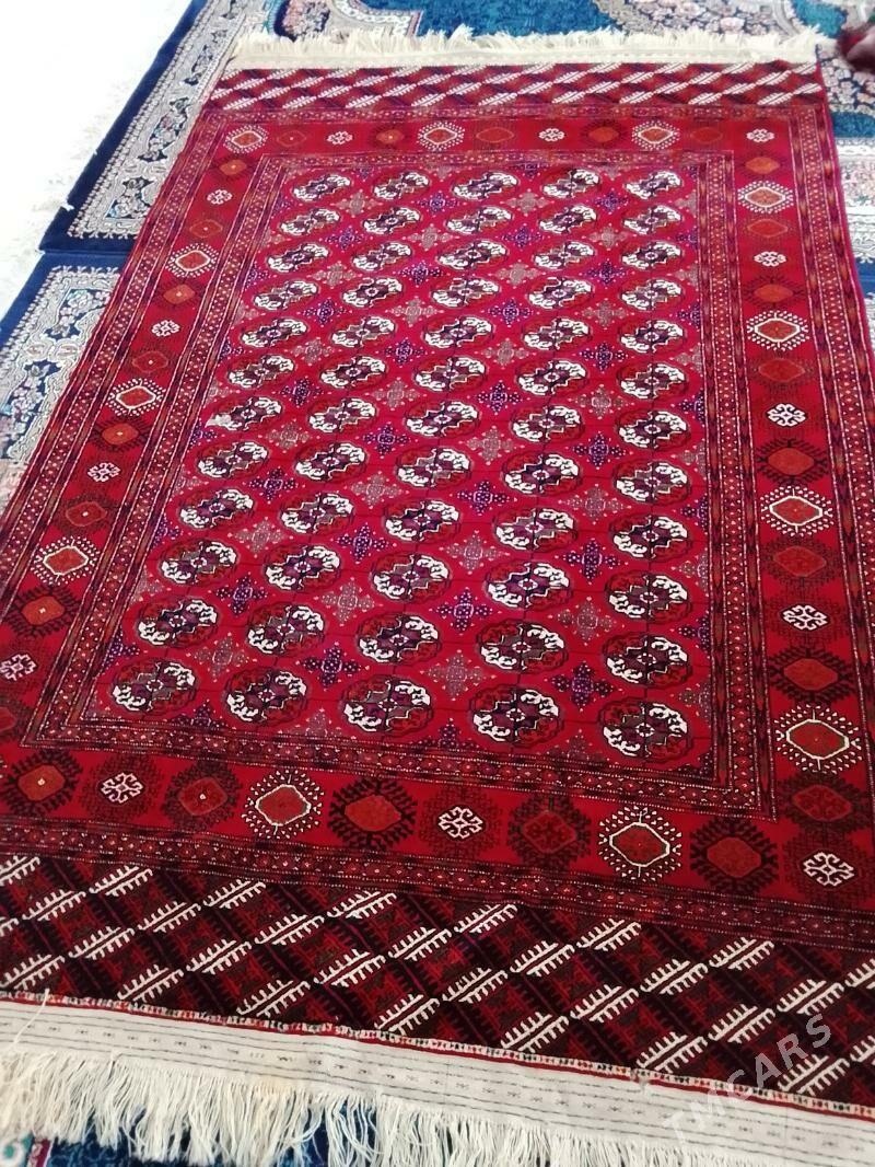 el haly - Mary - img 2