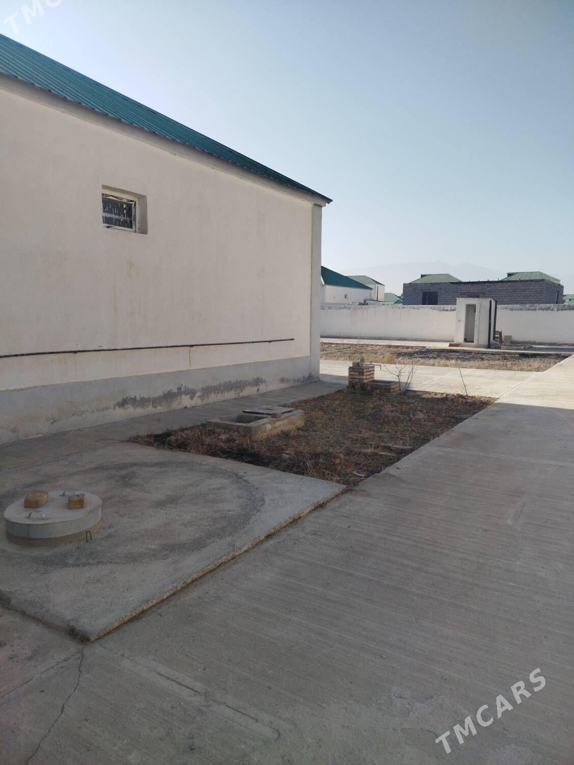 Gokdepe elitga jay - Гёкдепе - img 4