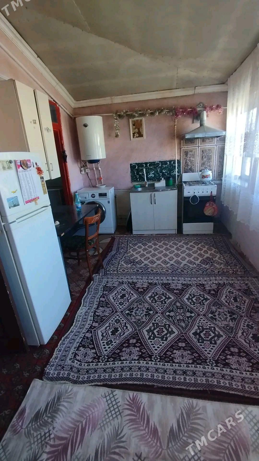 Arenda howly - Mary - img 2