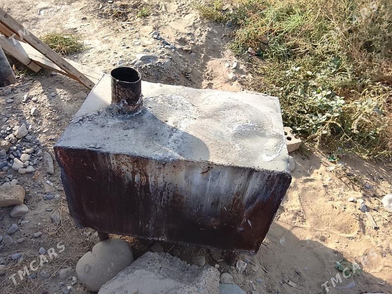 Uly pec - Mary - img 1