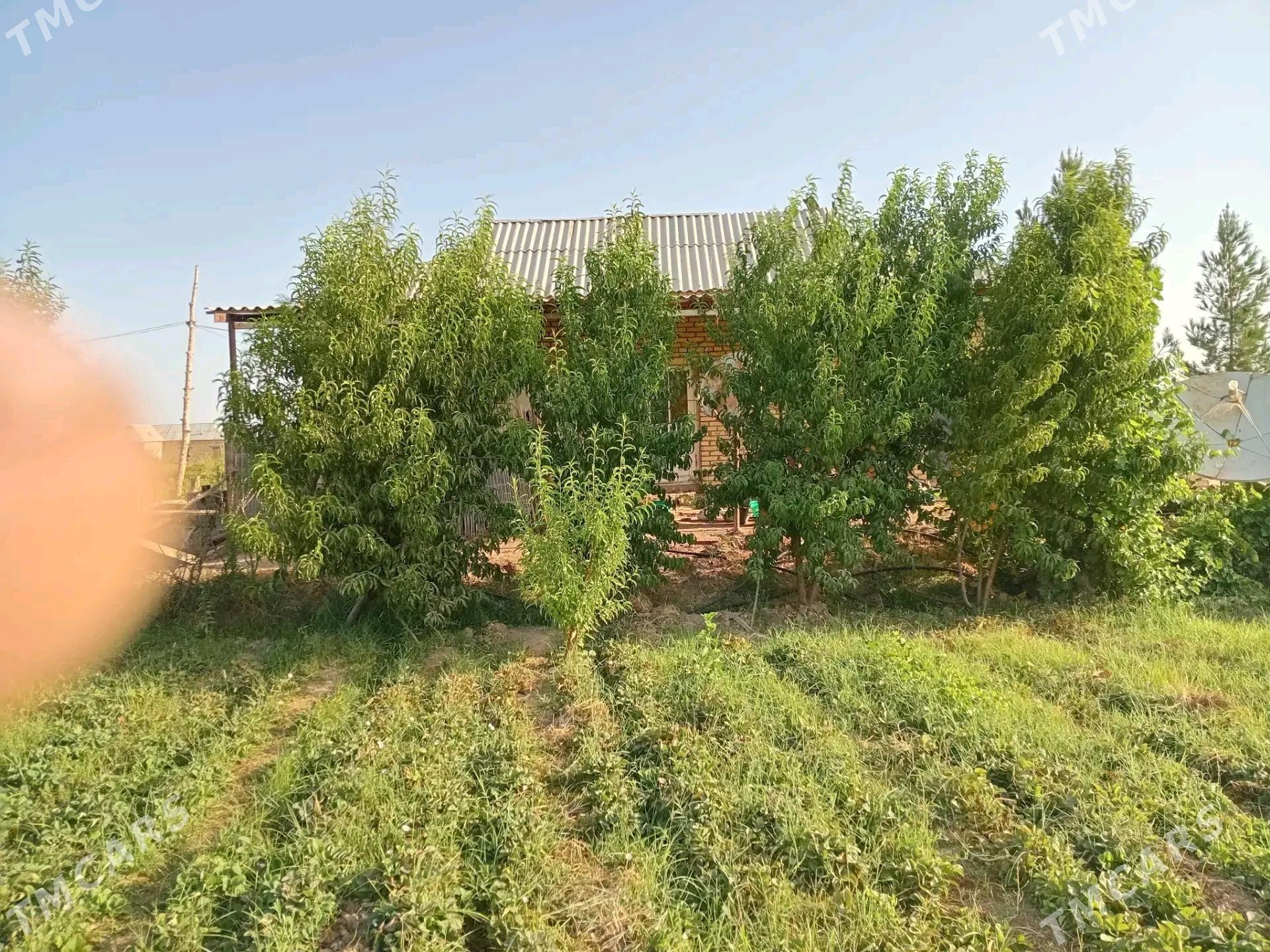 satlyk jay Denizhan sahercesi - Oguz han - img 1