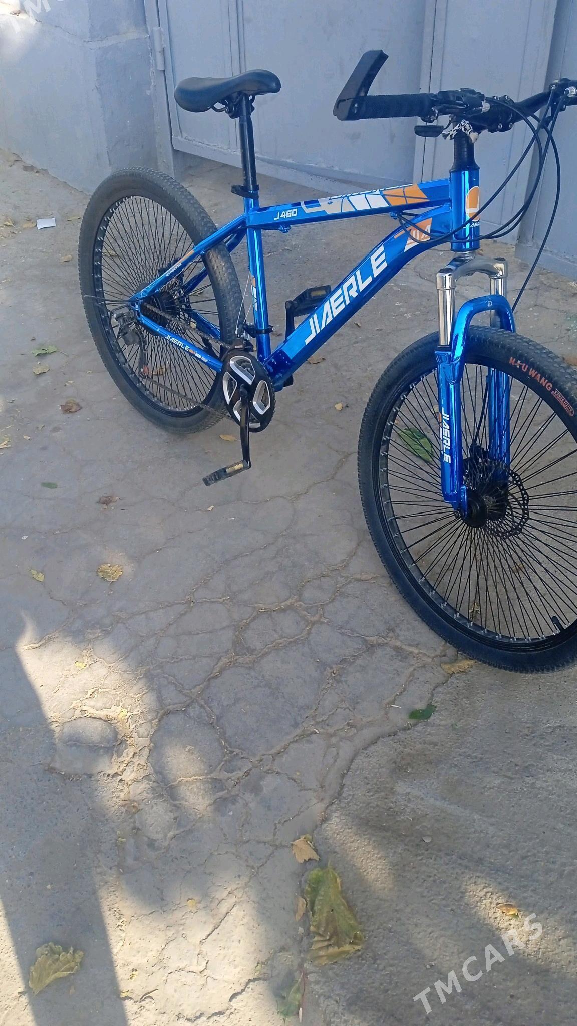 ♂️Sport tigir - Хитровка - img 1