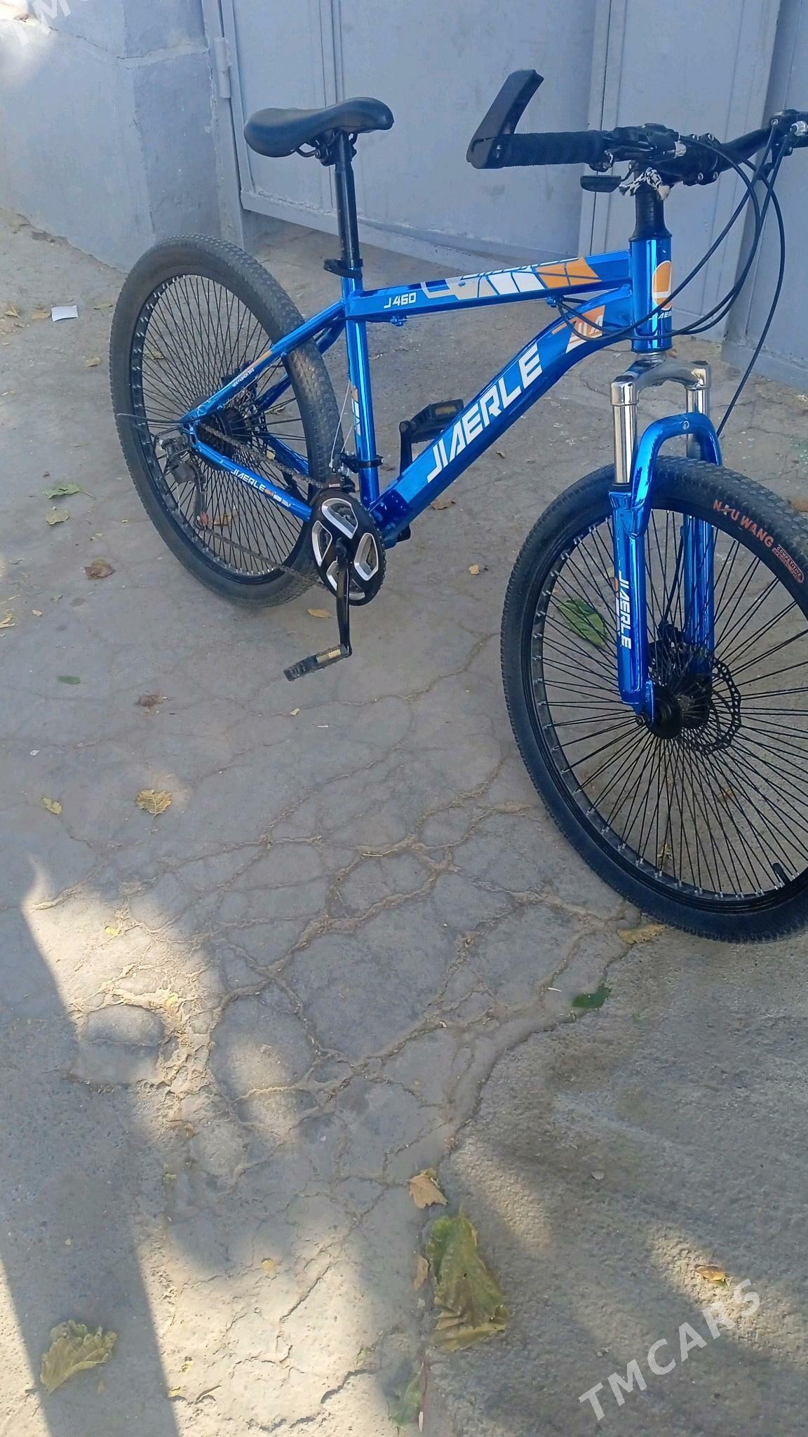 ‍♂️Sport tigir - Хитровка - img 3