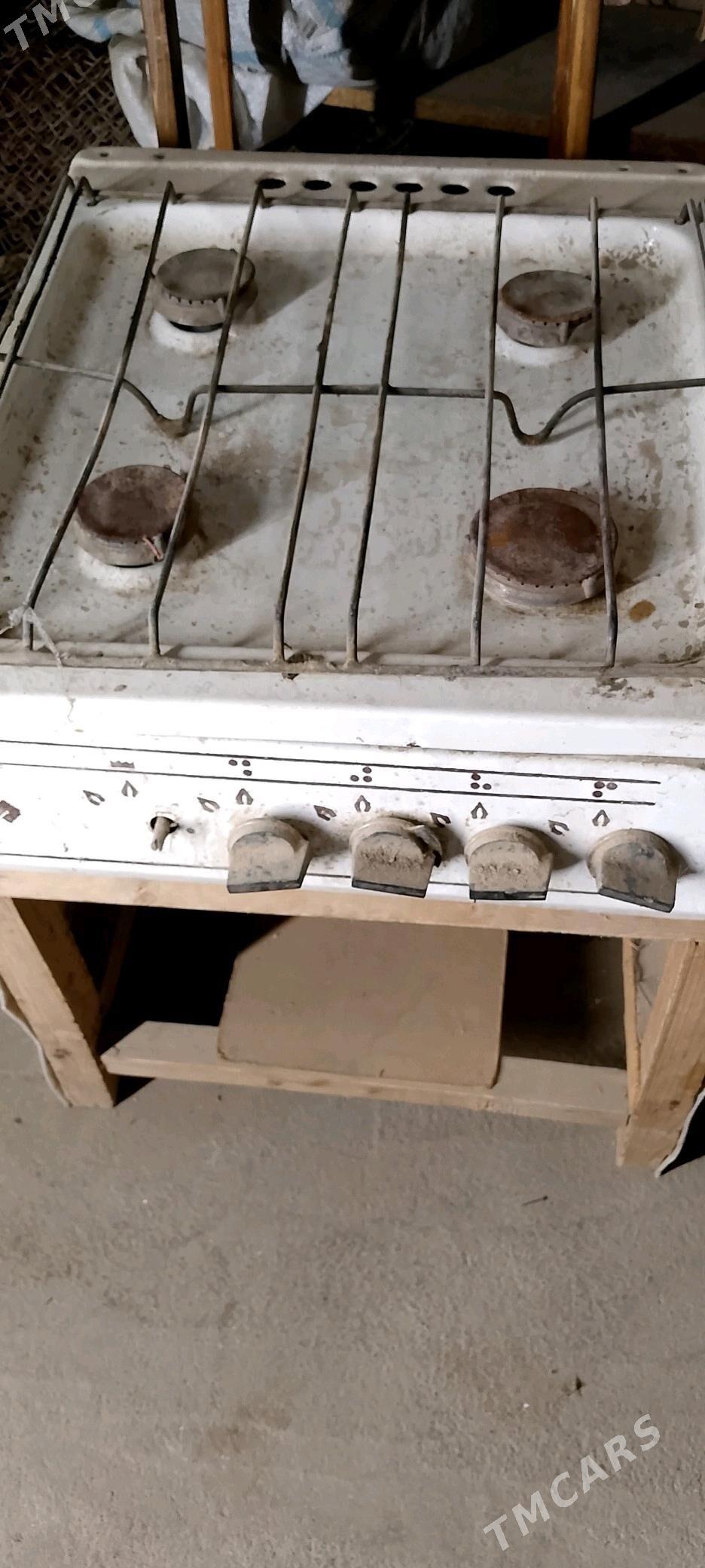 Gaz dört gözli - Кипджак - img 1