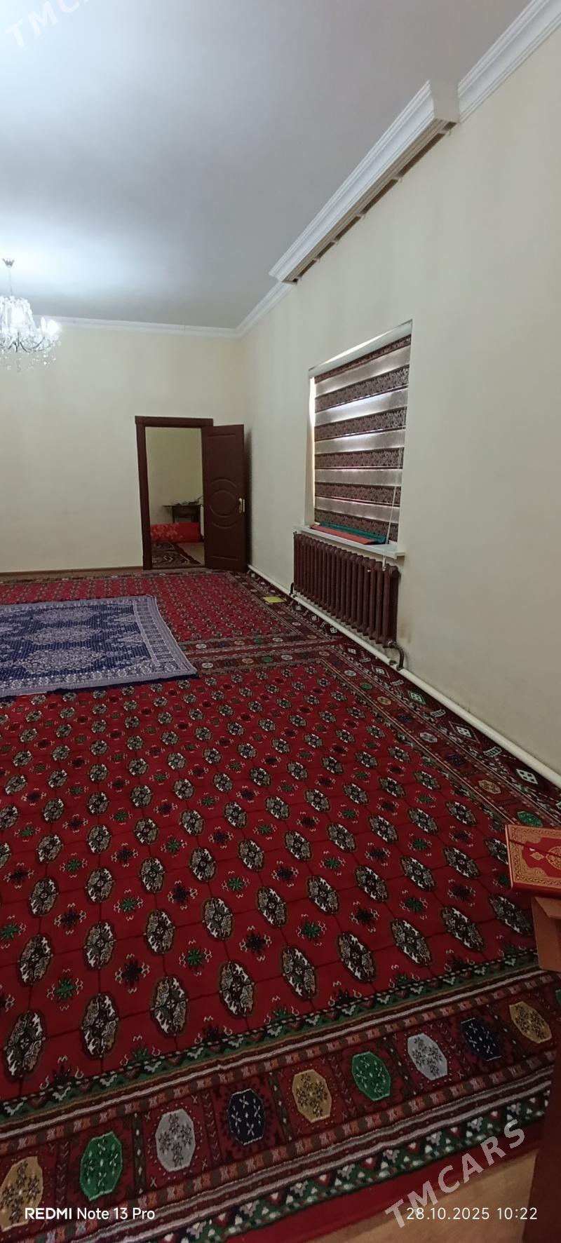 Kreyne jay (kwartira) - Bäherden - img 7