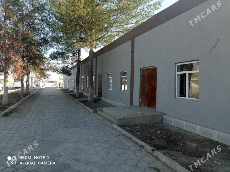 Arenda salon tikincilik - Arzuw - img 1