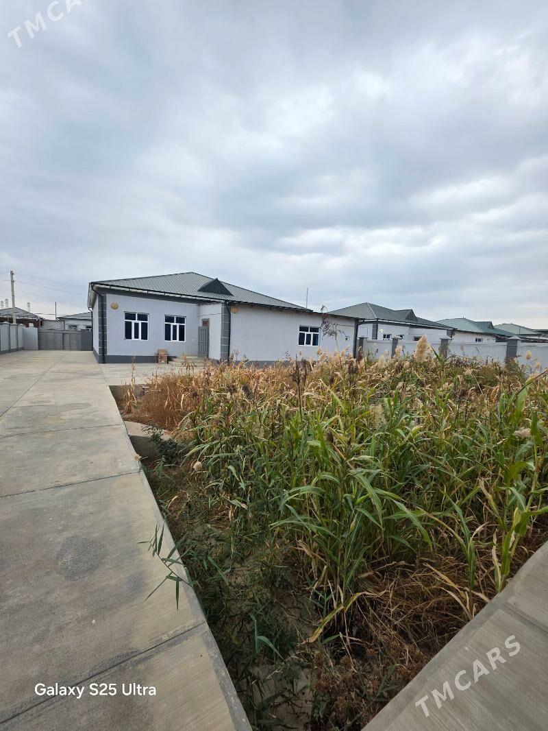 30йыллык ховлы жай - Daşoguz - img 2