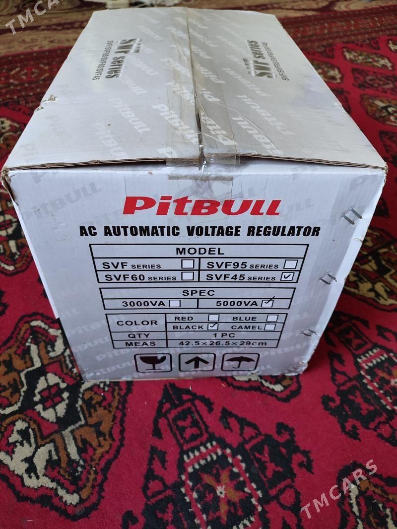 tok kopeldyan pitbul - Багир - img 1