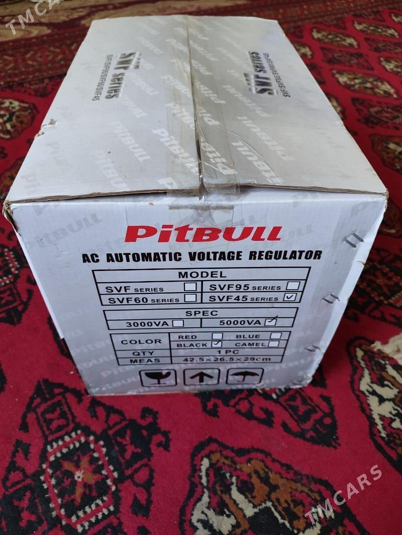 tok kopeldyan pitbul - Багир - img 3