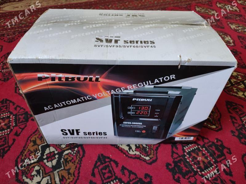 tok kopeldyan pitbul - Багир - img 2