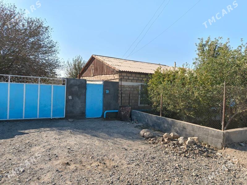 jay - Gyzylarbat - img 2