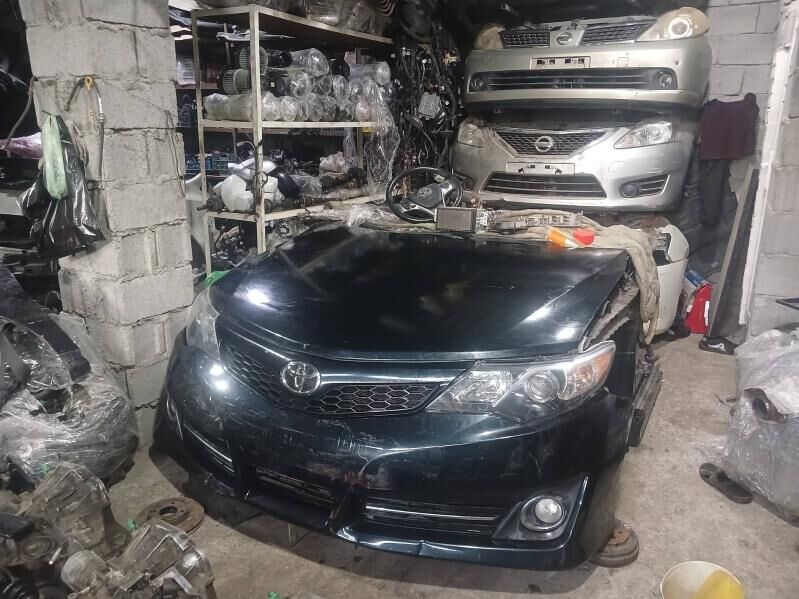 Palta morda  3.5 mat morda 120 TMT - Bedew - img 10