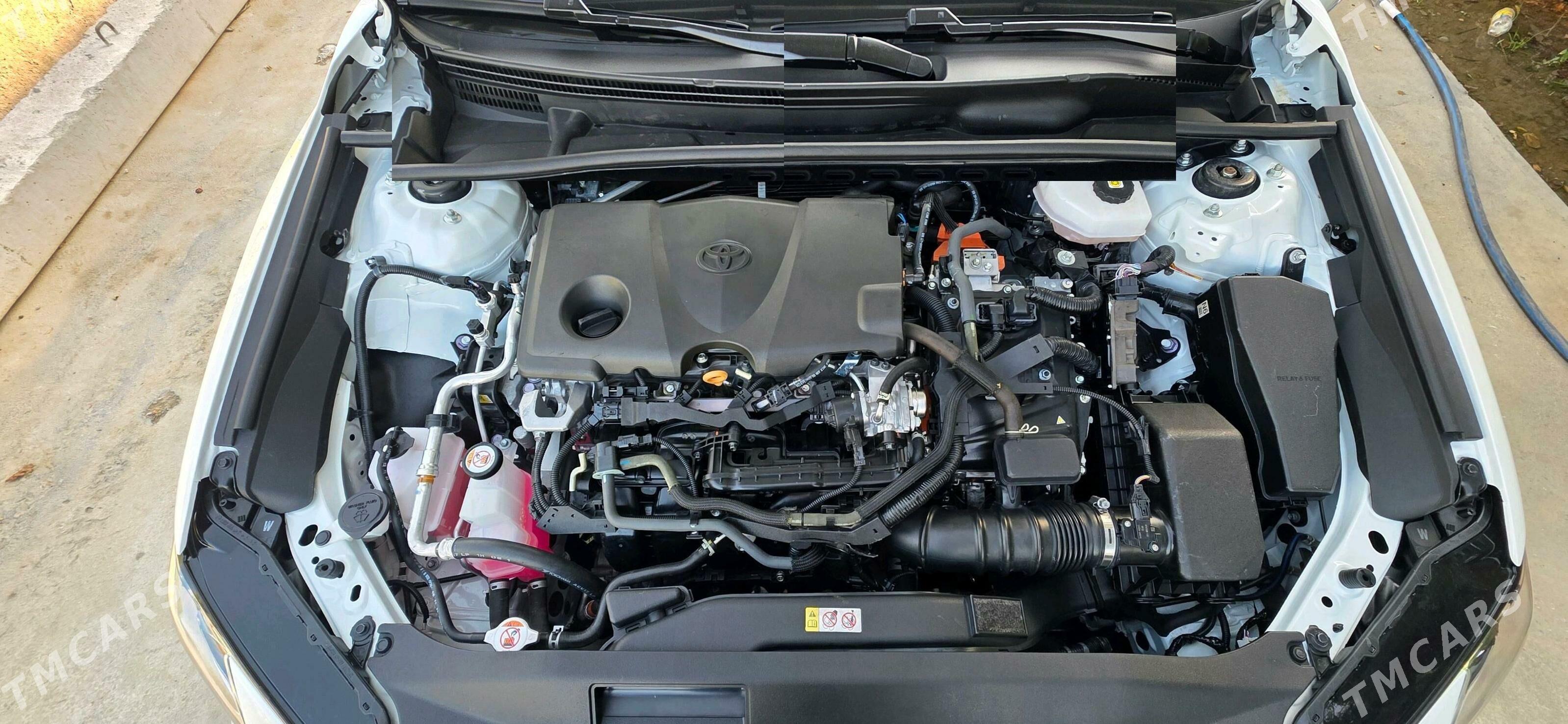 Toyota Camry 2024 - 530 000 TMT - Bedew - img 4