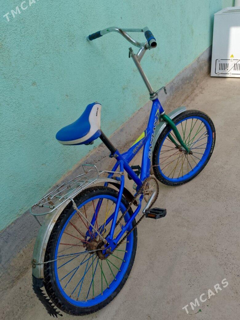 TİGİR - Tejen - img 2