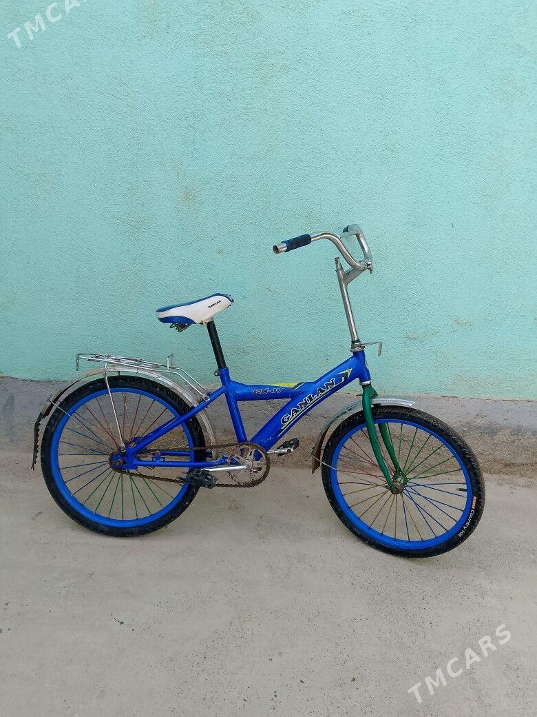 TİGİR - Tejen - img 3