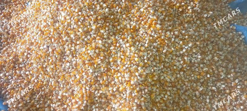 Mekge - Ашхабад - img 3